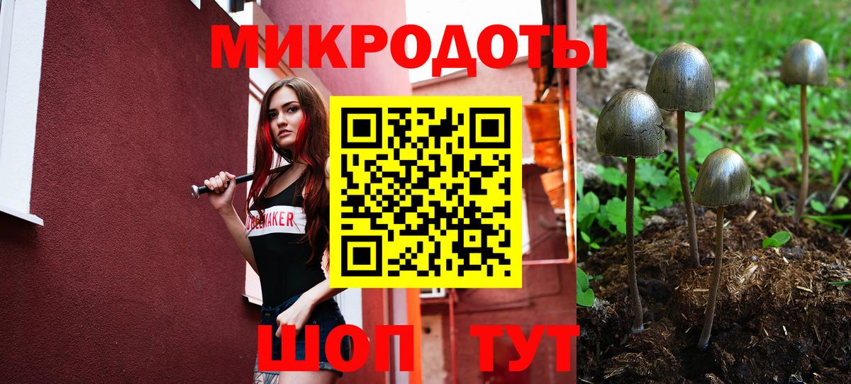 Псилоцибиновые грибы ЛСД Соликамск