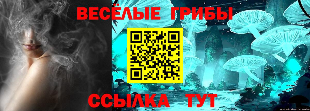 Псилоцибиновые грибы ЛСД  Вход с VPN  Галлюциногенные грибы прущие грибы  Соликамск 